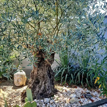 Entiere Avec Piscine- 8p