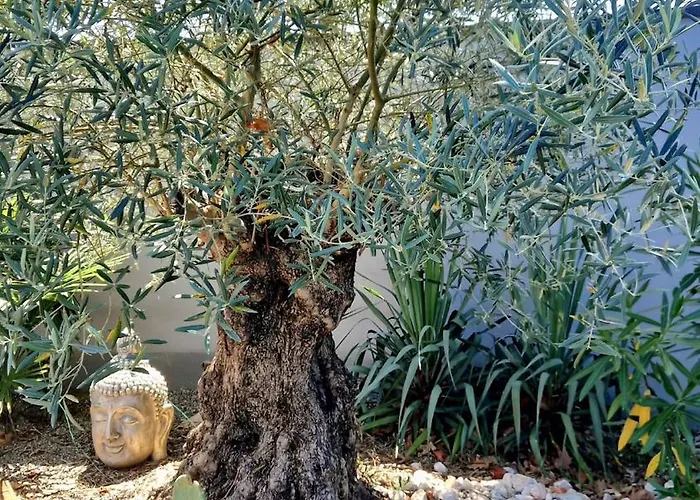 Entiere Avec Piscine- 8p